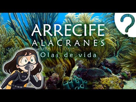 Arrecife Alacranes: Olas de vida (Documental) thumbnail