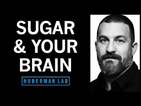 Controlling Sugar Cravings & Metabolism with Science-Based Tools | Huberman Lab Podcast #64 thumbnail