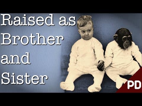 The Dark side of Science: The Horror of the Ape and The Child Experiment 1932 (Short Documentary) thumbnail