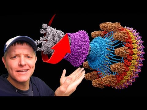 Nature's Incredible ROTATING MOTOR (It’s Electric!) - Smarter Every Day 300 thumbnail