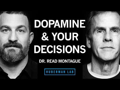 How Dopamine & Serotonin Shape Decisions, Motivation & Learning | Dr. Read Montague thumbnail