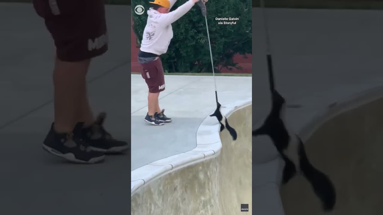 YouTube video player