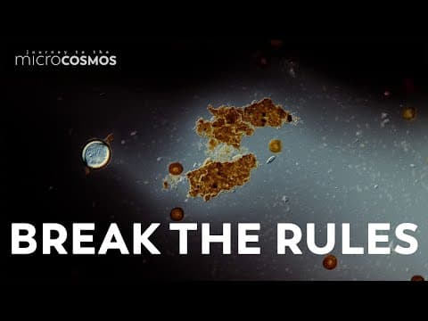 We Spilled Ink On Our Slides to See What Would Happen thumbnail