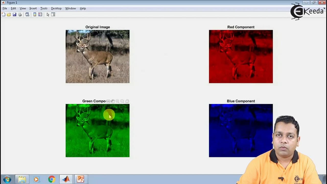YouTube video player