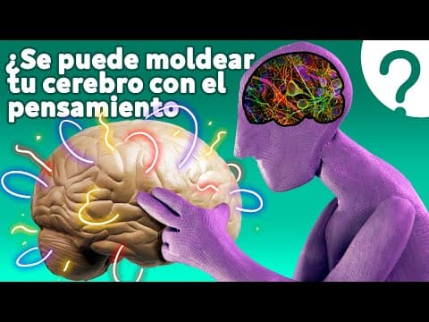 ¿Qué es la neuroplasticidad? thumbnail