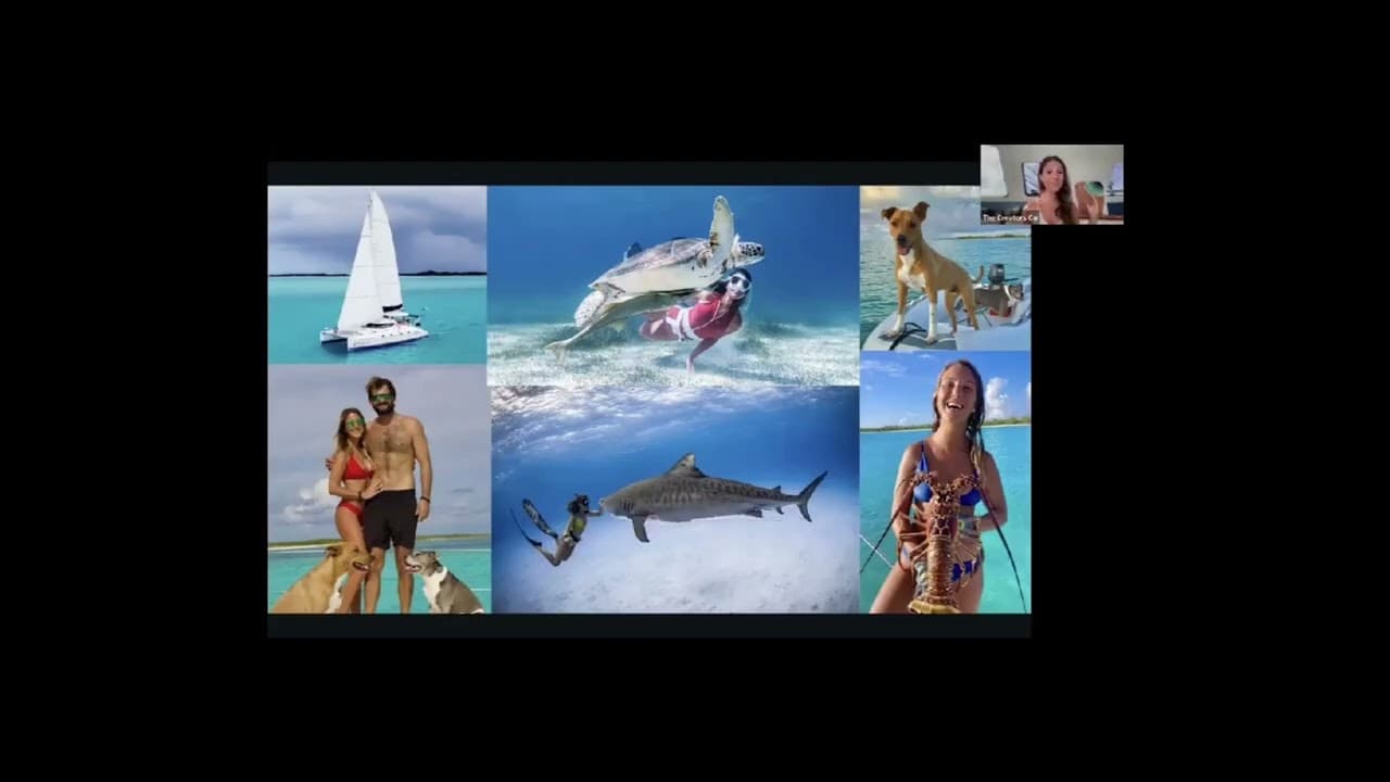 YouTube video player