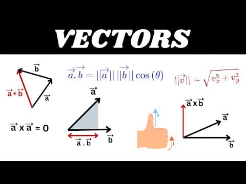 Everything You Need To Know About Vectors - Part-1 thumbnail