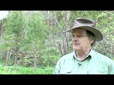 How Can Outdoor Lessons Inspire a Love for Chemistry? thumbnail