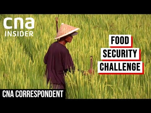 Indonesia Struggles To Reach Food Self-Sufficiency | CNA Correspondent thumbnail