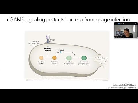 Sensing DNA as a danger signal through the cGAS-STING pathway by Dr. Andrea Ablasser thumbnail