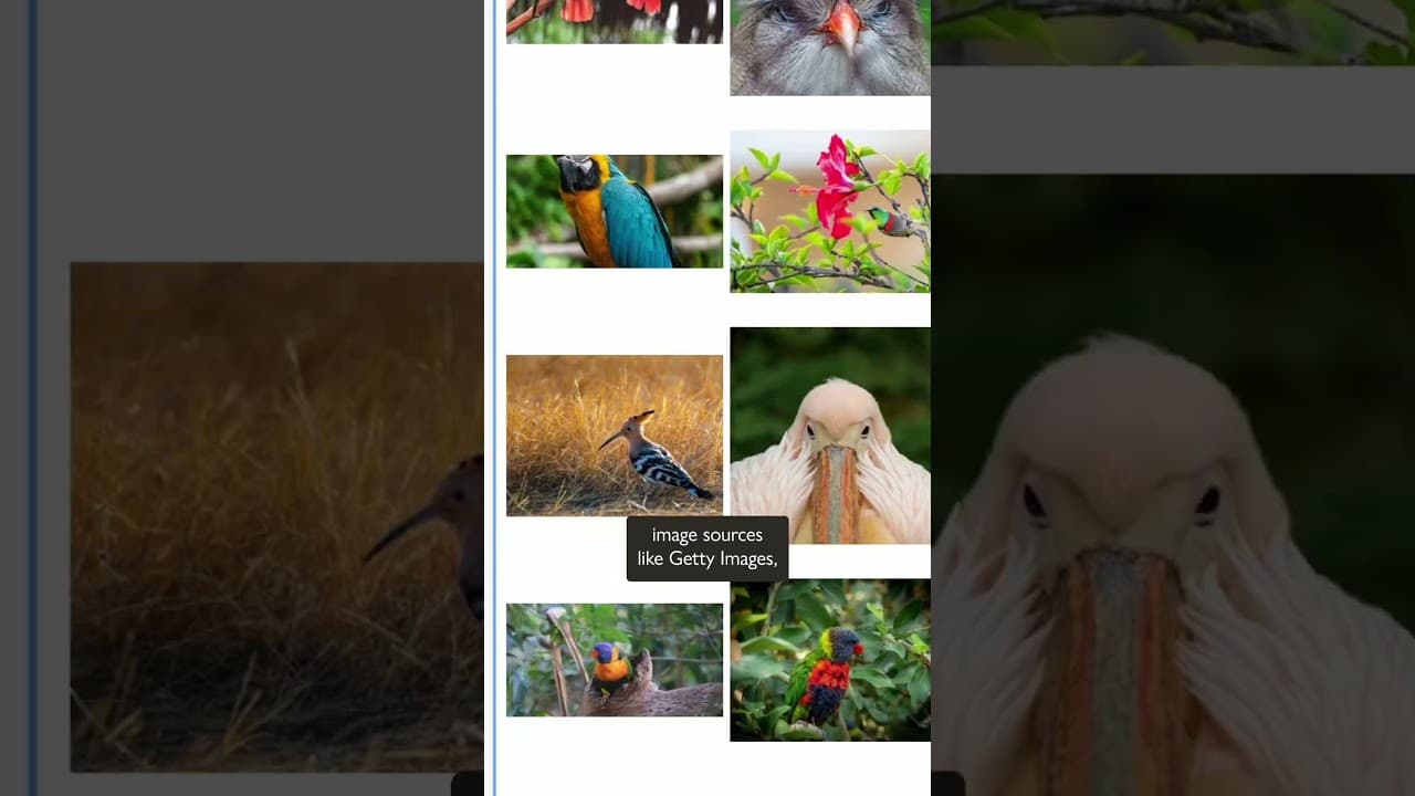 YouTube video player