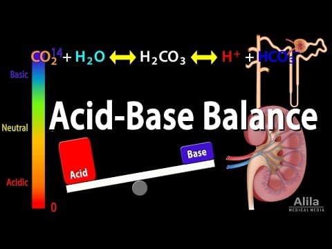 Acid Base Balance, Animation. thumbnail