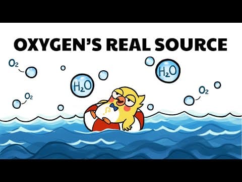 Most of Earth’s Oxygen Doesn’t Come from Trees – Here’s Why thumbnail