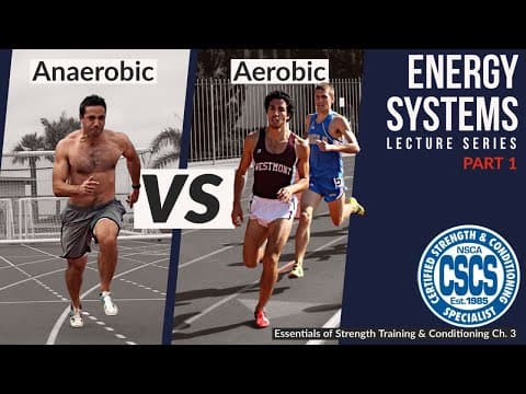 Bioenergetics of Training: 3 Energy Systems | CSCS Chapter 3 thumbnail