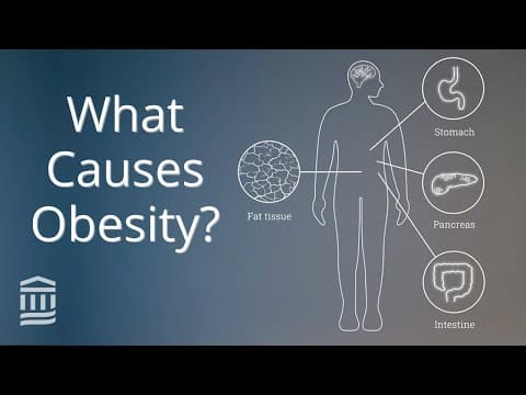 Obesity: Causes, Health Conditions, and Treatment | Mass General Brigham thumbnail