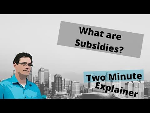 What are subsidies? How do they work? thumbnail