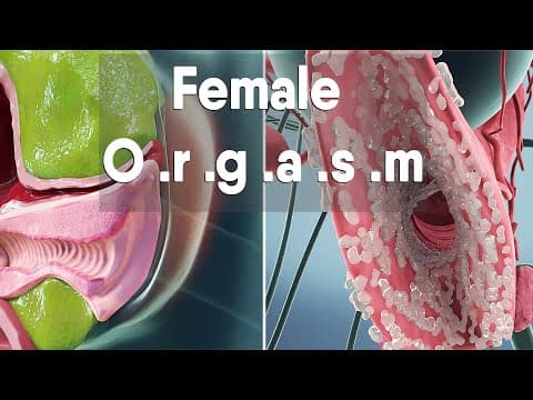 female orgasm | Female anatomy and biology thumbnail