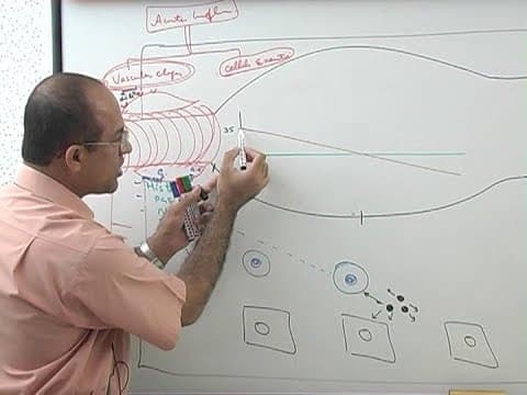 Inflammation | Vascular Events | Immunology | Dr Najeeb thumbnail