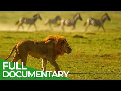 Wild Instinct - Fear on the Savannah | Free Documentary Nature thumbnail