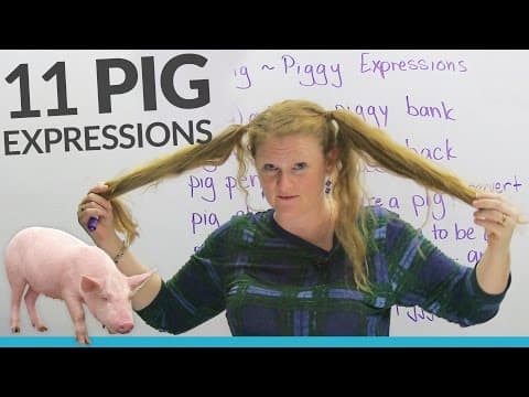 11 PIG expressions in English: "pig out", "pig tails", "piggy back"... thumbnail