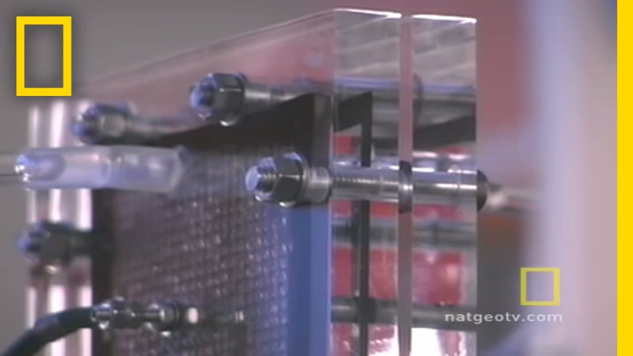 YouTube video player