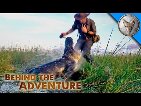 What Makes Capturing an Alligator So Nerve-Wracking? thumbnail