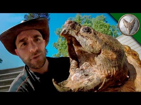 How to Catch Giant Alligator Snapping Turtles in Louisiana thumbnail