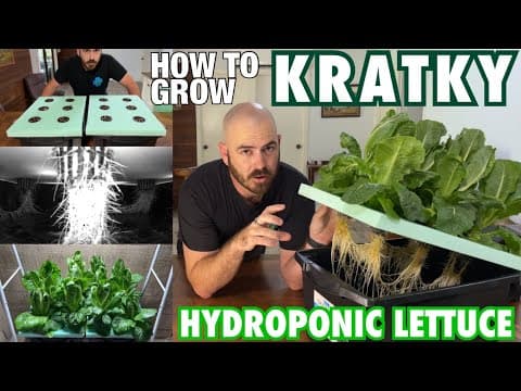 How to Grow Kratky Hydroponic Lettuce Cheap & Easy thumbnail