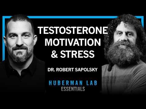 Essentials: Science of Stress, Testosterone, Aggression & Motivation | Dr. Robert Sapolsky thumbnail
