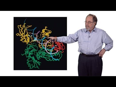 David Baltimore (Caltech): Introduction to Viruses and Discovering Reverse Transcriptase thumbnail