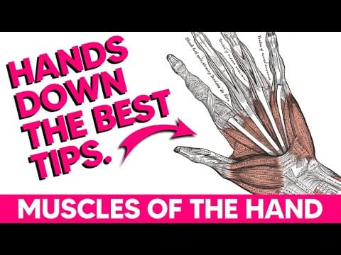 Hand Muscles│Anatomy Tips, Tricks and Mnemonics thumbnail