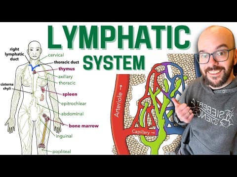 Lymphatic System thumbnail