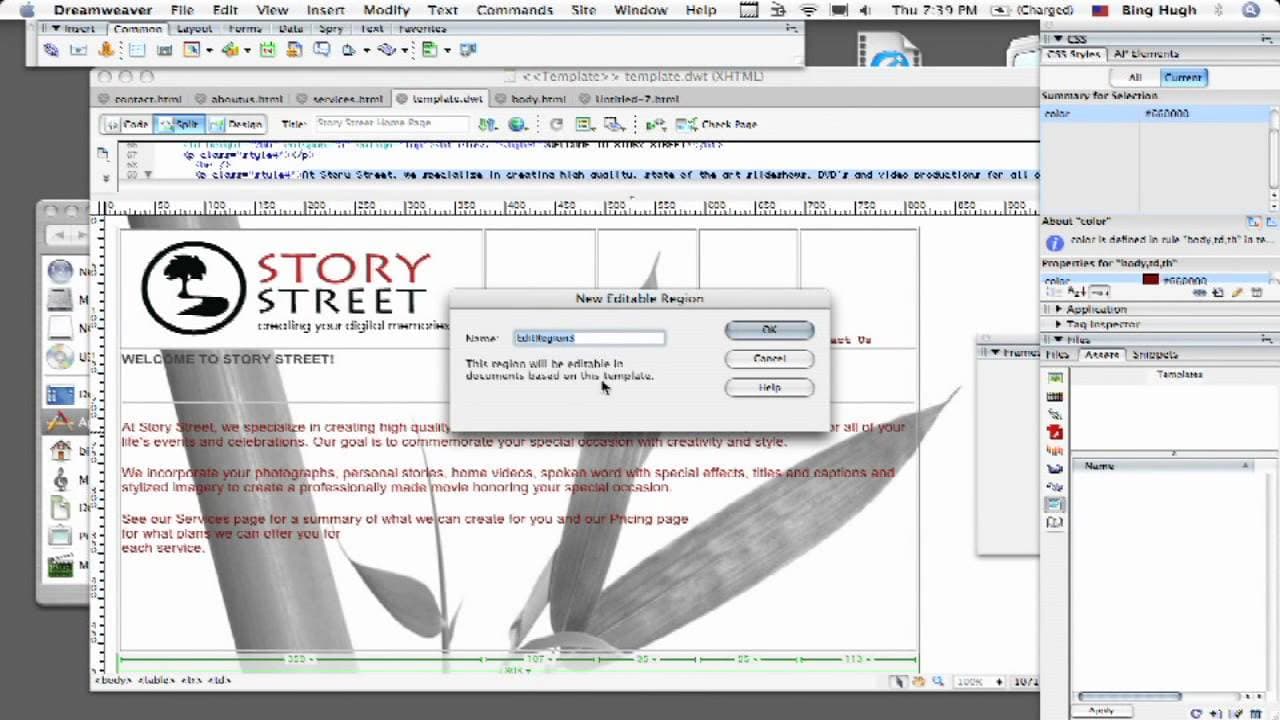 YouTube video player
