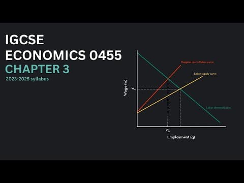 IGCSE Economics 0455 Chapter 3 | Microeconomic decision makers | 2023 - 2025 syllabus thumbnail