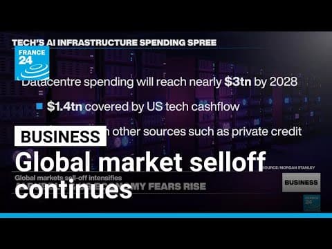 Questions over artificial intelligence boom lead to global market selloff • FRANCE 24 English thumbnail