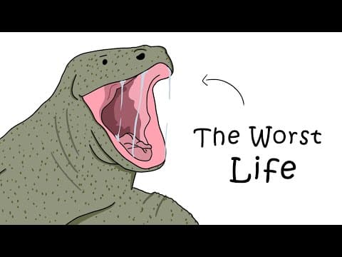 Why It Sucks to Be Born as a Komodo Dragon thumbnail