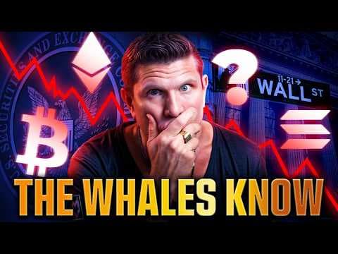WARNING: Bitcoin Whales Know What’s Coming thumbnail