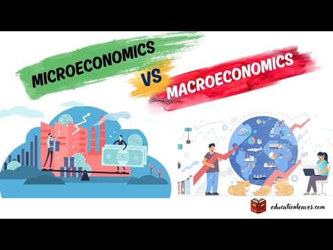 Difference between Macro and Microeconomics | Microeconomics  VS Macroeconomics thumbnail