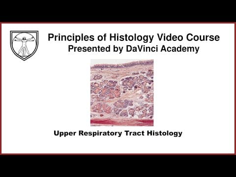 Upper Respiratory Tract Histology [Respiratory 1 of 2] thumbnail