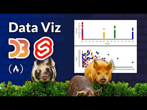 Data Viz w/ Svelte and D3 Tutorial – Custom and Interactive Data Visualization thumbnail