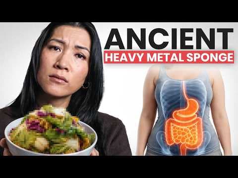 The ANCIENT Gut Bacteria That GRABS Heavy Metal thumbnail