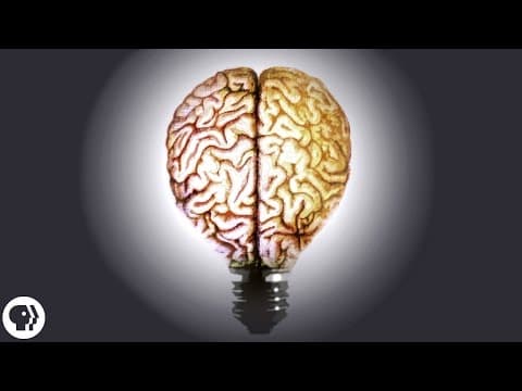 The Secret to Creativity thumbnail