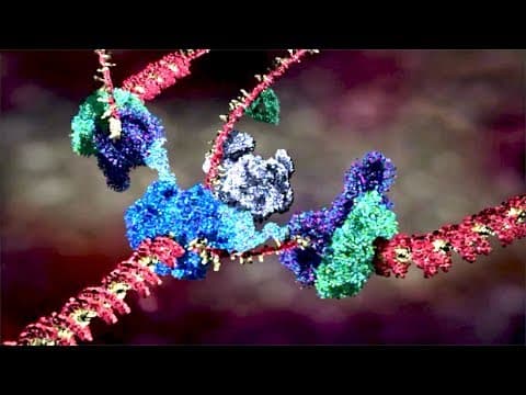 What Are the Molecular Machines in Your Body? thumbnail