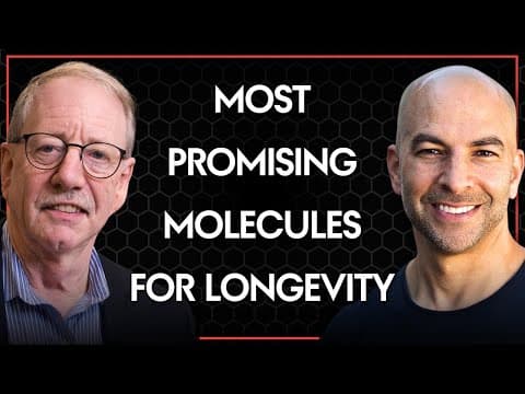 Most promising molecules for longevity | Peter Attia and Steve Austad thumbnail
