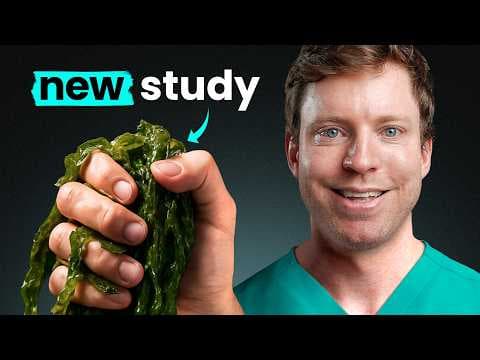 Spirulina “Significantly Improves Weight" in New Study thumbnail