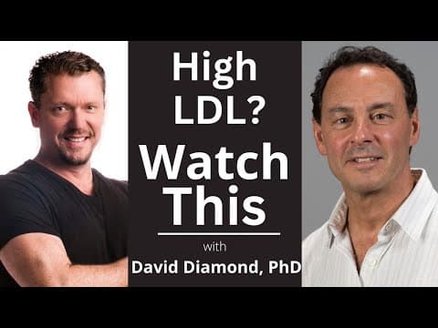 Is High Cholesterol Actually Healthy? Key Insights thumbnail
