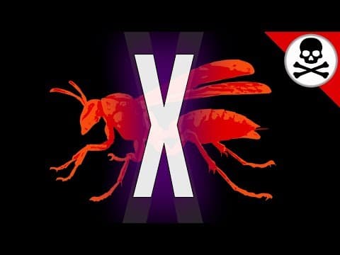 What Happens When Coyote Peterson Gets Stung by an Executioner Wasp? thumbnail