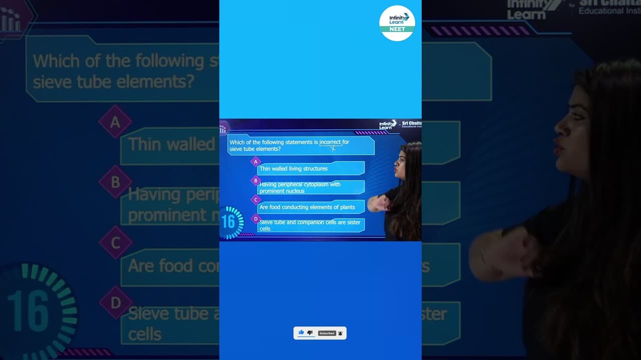 YouTube video player