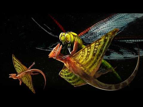 The First Flying Animals Were Weird.... thumbnail