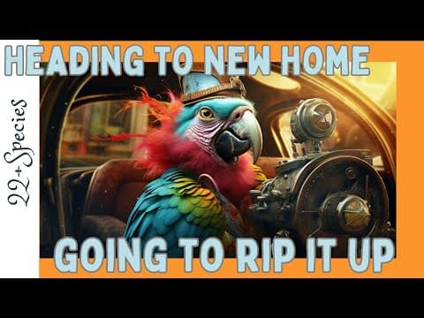 How To Bond With A New ADULT Parrot With A History | #parrot_bliss #bird #parrot thumbnail